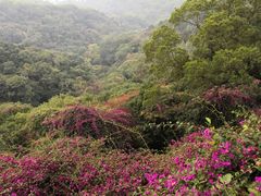 -广州市白云山风景名胜区