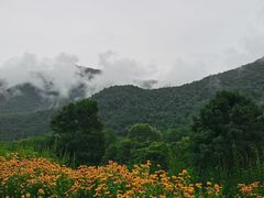 -关山草原