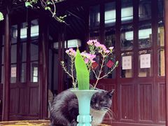 -西园戒幢律寺