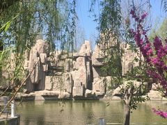 -莱阳濯村樱花园