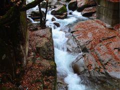 -光雾山旅游景区