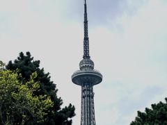 -龙塔