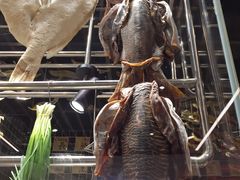 -好彩猪肚鸡(正弘城店)