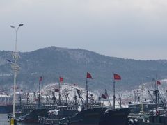 -龙王塘渔港