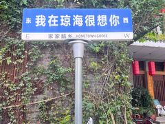 -农厨好味·温泉鹅·农家菜