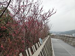 -福道