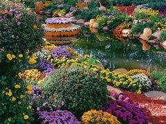 -上海共青森林公园