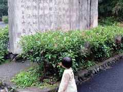 -夏霖九天银瀑风景区