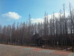 -南京金牛湖风景区