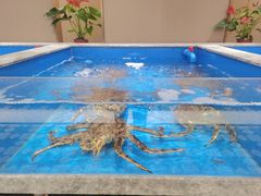 -帝皇海海鲜豆捞(桐泾商务广场店)