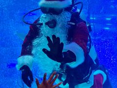 -沈阳海洋探索中心