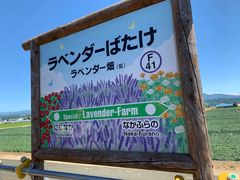 -富田农场