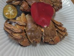 -老西门·常州菜(新区店)