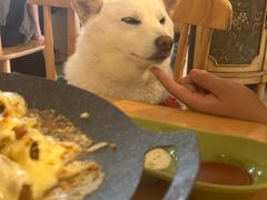 -柴の食堂·日式家庭料理·熊之肆(大学路店)