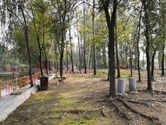 -东方巨龟苑景区