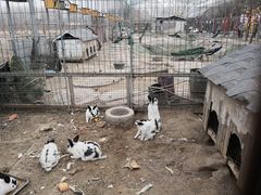 -河北村民俗体验园