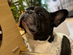 -小时光咖啡馆(北锣鼓巷店)