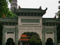 -顺峰山公园