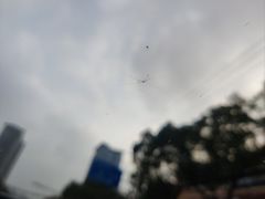 -鲨鱼皮汽车凹陷玻璃修复(静安店)