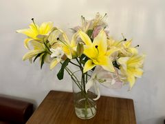 -翠娜家· Trina’s西餐厅(高新万达店)