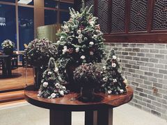 -广州柏悦酒店·悦景轩·粤菜餐厅