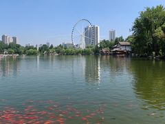 -西宁市人民公园(城西区)