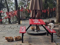 -采石矶景区
