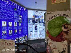 -瑞派雷欧宠物医院·24h夜诊·心脏骨科牙科·全科重症转诊中心(无影山店)