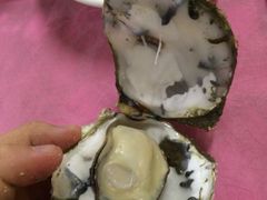 -蠔园山庄(礼乐食街店)