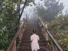 -大岭沟猕猴桃谷风景区