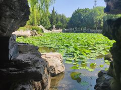 -莲池书院博物馆