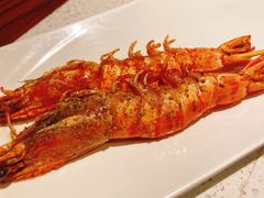 -九府羊·鲜羊火锅·烤串(新华路店)