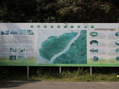 -羚羊峡古栈道森林公园