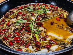-南山渔美蛙鱼·老鸭汤·火锅(成都大邑店)