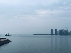 -万绿园