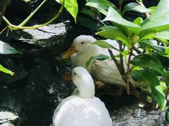 -北园酒家(小北路店)