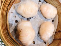 晶莹鲜虾饺-添好运点心专门店(深水埗店)