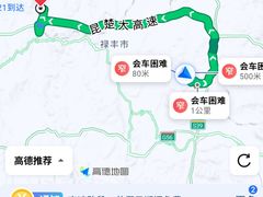 -金塔傣乡·云南民族特色菜·傣味手抓饭(金瓦路店)