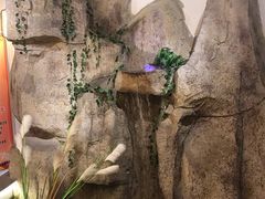-小秦淮·南京土菜(新亭西路店)