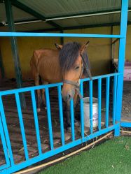 -小蜜蜂农场(凯德七宝购物广场店)