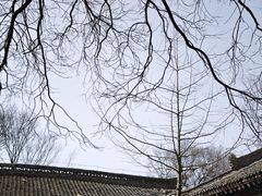 -少华山国家森林公园