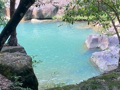 -广州白江湖森林公园