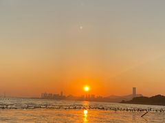 -深圳湾公园(南山区)