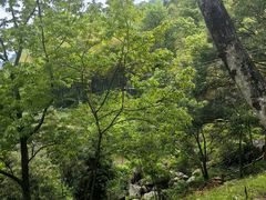 -藏龙百瀑风景区