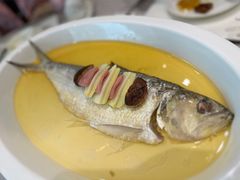 -新光酒家·河豚·海鲜·蟹料理(浦东店)