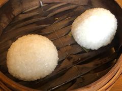 茨毛圆子-双塔老饭店