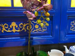 -大清花饺子城(昌黎店)