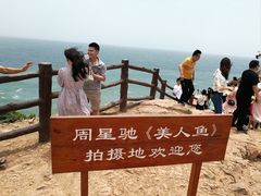 -杨梅坑