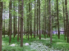 -河南省黄河迎宾馆