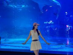 -烟台海昌鲸鲨海洋公园